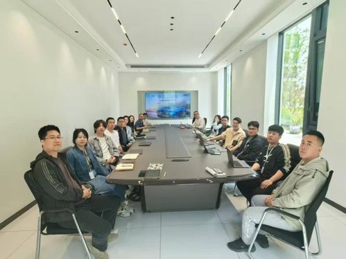 辽宁尔雅ASPICE CL2级咨询开发项目技术咨询解析